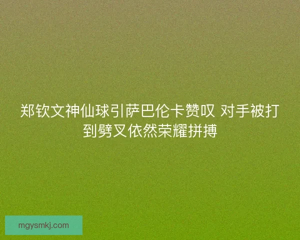 郑钦文神仙球引萨巴伦卡赞叹 对手被打到劈叉依然荣耀拼搏