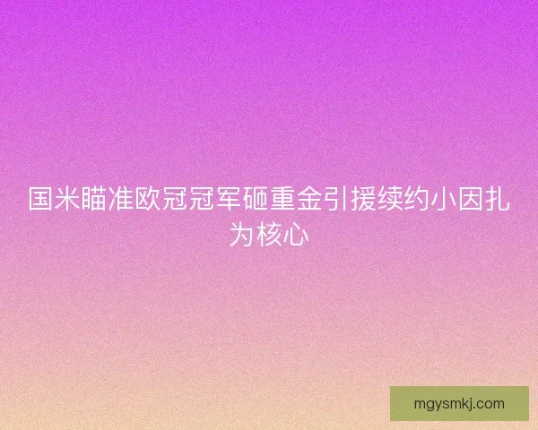 国米瞄准欧冠冠军砸重金引援续约小因扎为核心