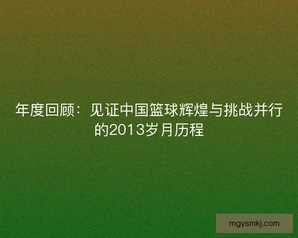 年度回顾：见证中国篮球辉煌与挑战并行的2013岁月历程