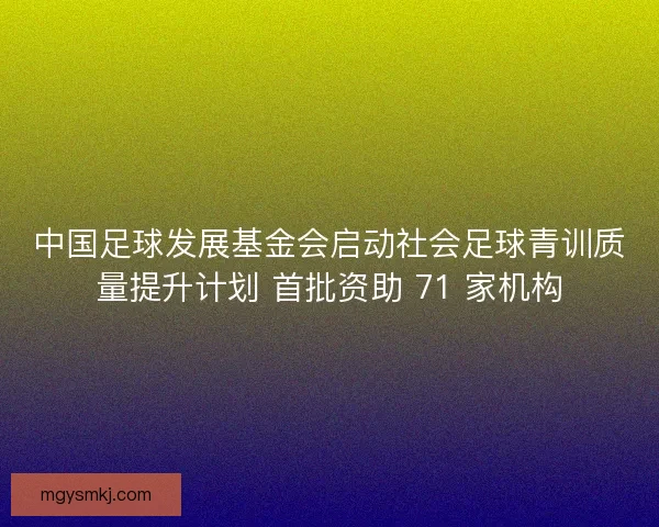 中国足球发展基金会启动社会足球青训质量提升计划 首批资助 71 家机构